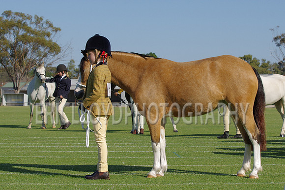 Beverley20 09 14-7889