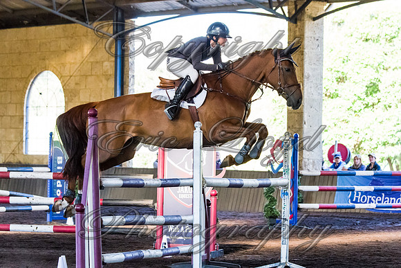 SRSJ Young Horse-8067