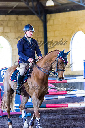 SRSJ Young Horse-8103