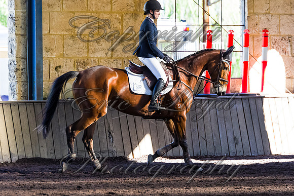SRSJ Young Horse-8036