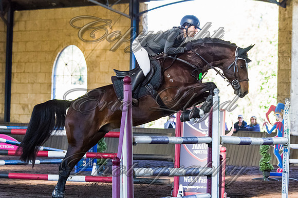 SRSJ Young Horse-8001