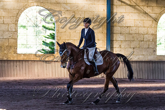 SRSJ Young Horse-8042