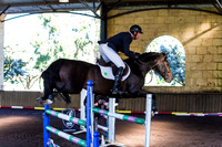 SRSJ Young Horse-7972