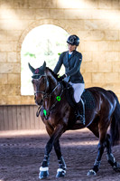 SRSJ Young Horse-7989
