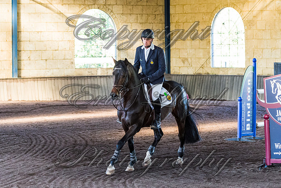 SRSJ Young Horse-7961