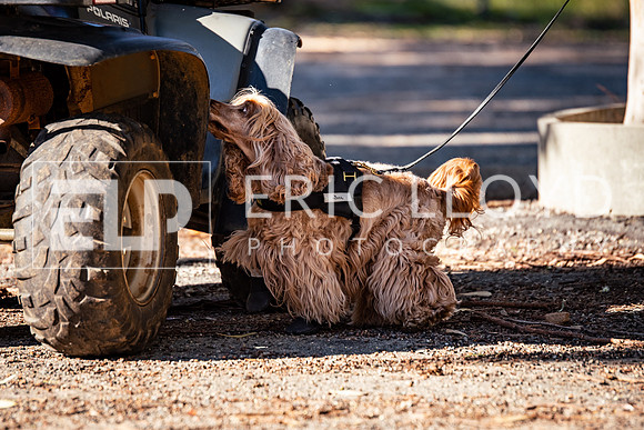 ELP_0098