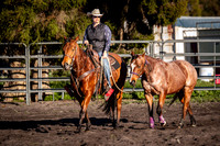Mechanical Team Roping