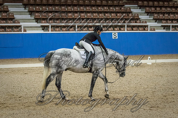 IMGP7115