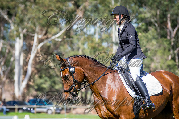 IMGP2885