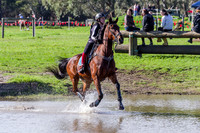 Swan Valley Hunter Trials 05 06 2016