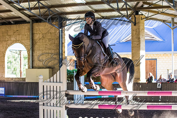 SRSJ Young Horse-8096