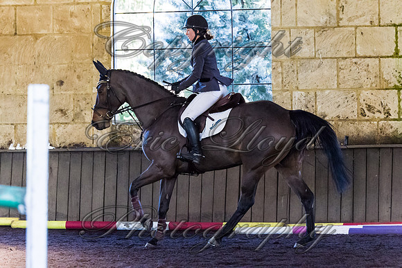 SRSJ Young Horse-8080