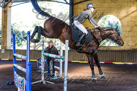 SRSJ Young Horse-7998
