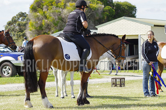 ARCA WH 2014-6556