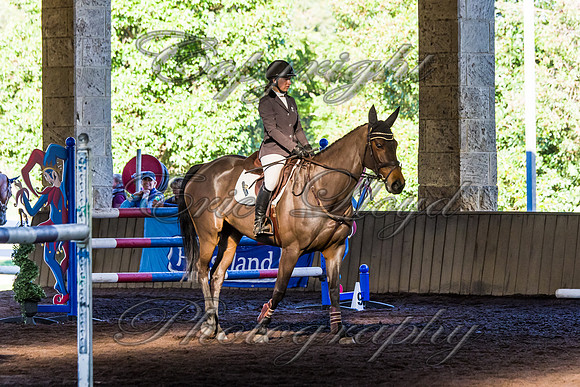SRSJ Young Horse-8071