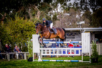Midwest Vet – 1.40m - Horse of the year