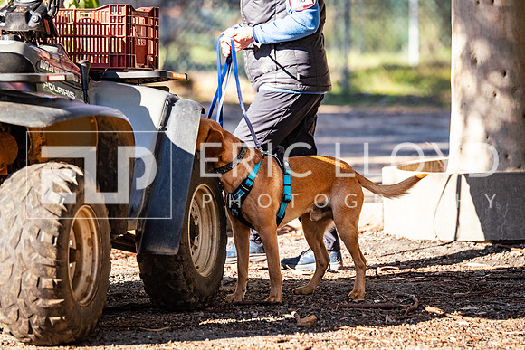 ELP_0693