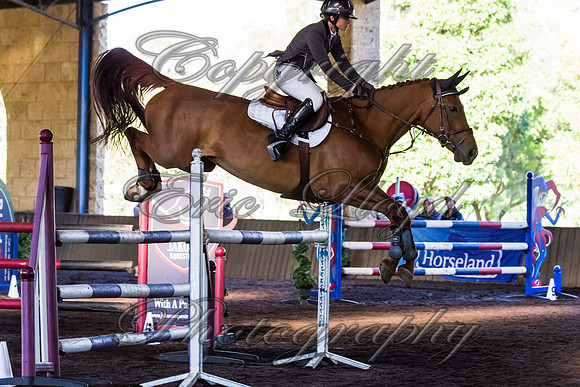SRSJ Young Horse-8068