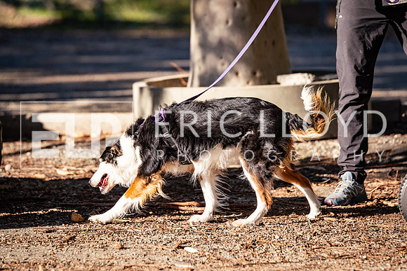 ELP_0705