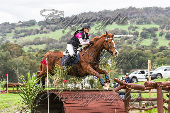 ERIC3355