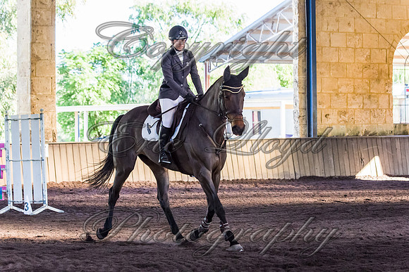 SRSJ Young Horse-8077