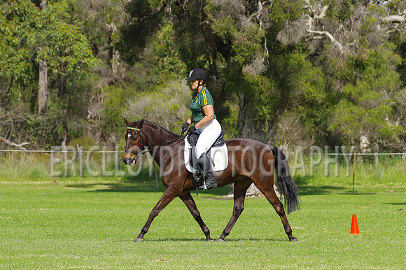 ARCA WH 2014-6551