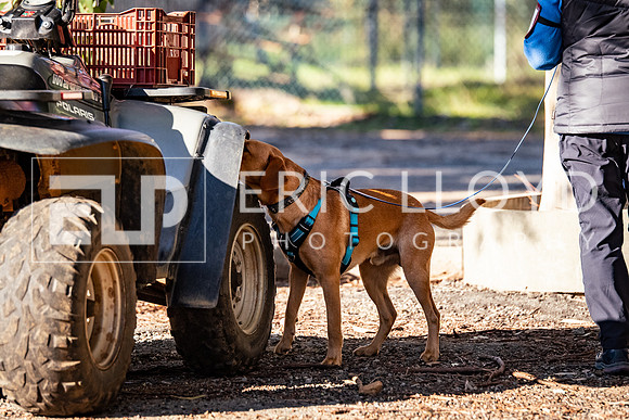 ELP_0690
