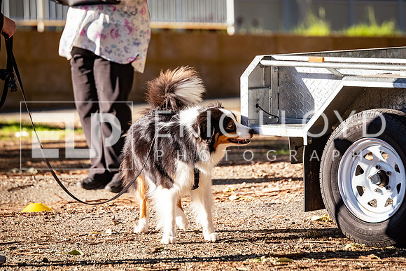 ELP_0656