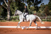 Dressage Association of WA Budget Stockfeeds Gala 22.05.2016
