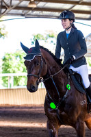 SRSJ Young Horse-7985