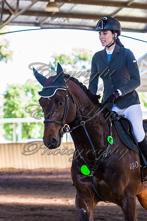 SRSJ Young Horse-7985
