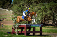 CIC3*