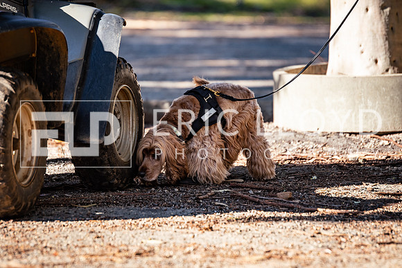 ELP_0096