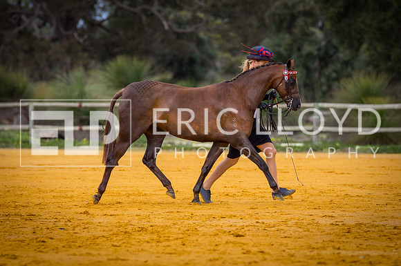 untitled-1743