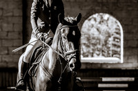 Class 3A 4-YR Old Horses