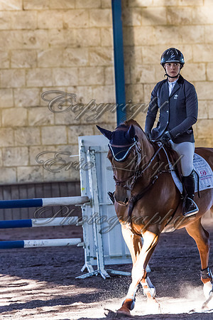 SRSJ Young Horse-8053