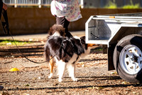 ELP_0655