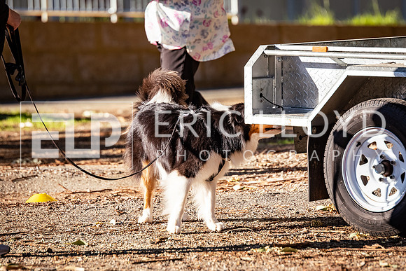 ELP_0655