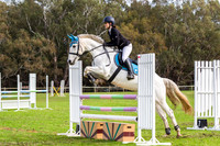 90cm - 1.00m AM7 238.2.2/245.3