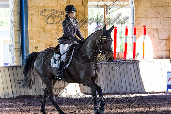 SRSJ Young Horse-8086