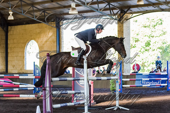 SRSJ Young Horse-7979