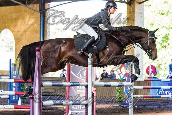 SRSJ Young Horse-8002