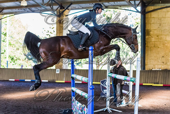 SRSJ Young Horse-7996