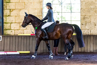 SRSJ Young Horse-7983