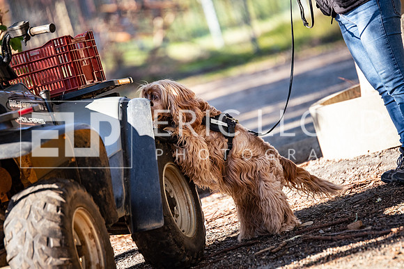 ELP_0103