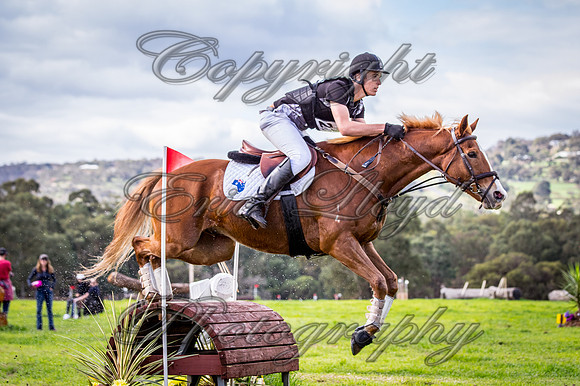 BRIGADOON-JL-7969