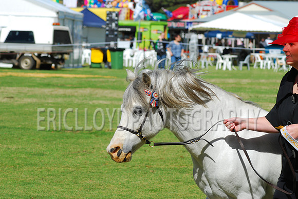Eric-2266