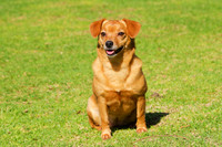 Buffy-5378