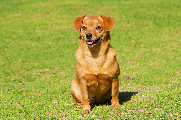 Buffy-5378