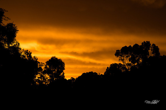 Sunset at the State Equestrian Centre-2